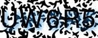 grafischer Sicherheitscode