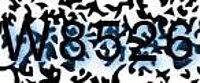 grafischer Sicherheitscode
