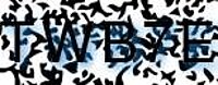 grafischer Sicherheitscode