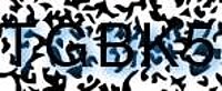grafischer Sicherheitscode