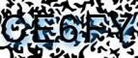 grafischer Sicherheitscode