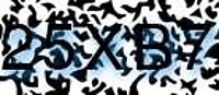 grafischer Sicherheitscode